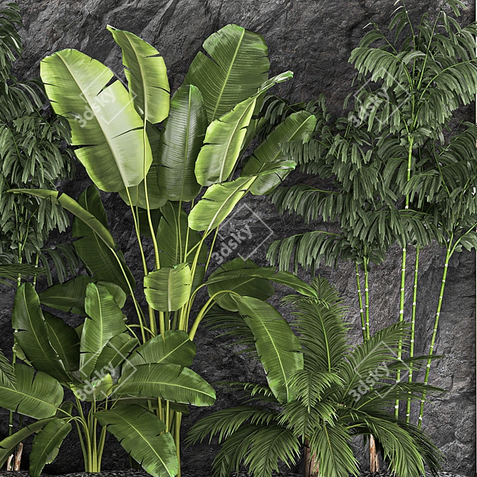 Exotic Tropical Plant Set 3D model image 2