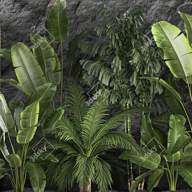 Exotic Tropical Plant Set 3D model image 3