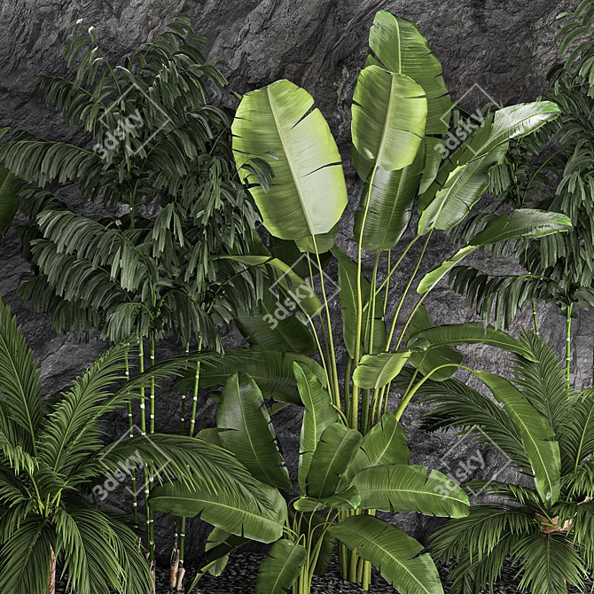 Exotic Tropical Plant Set 3D model image 4