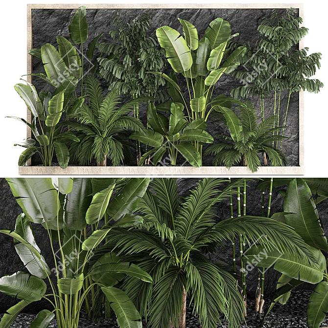 Exotic Tropical Plant Set 3D model image 9