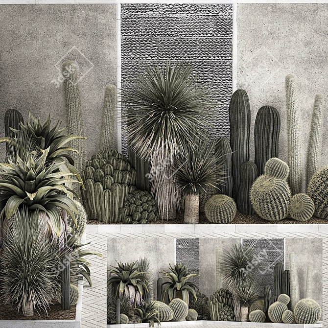 Exotic Desert Plant Collection 3D model image 2