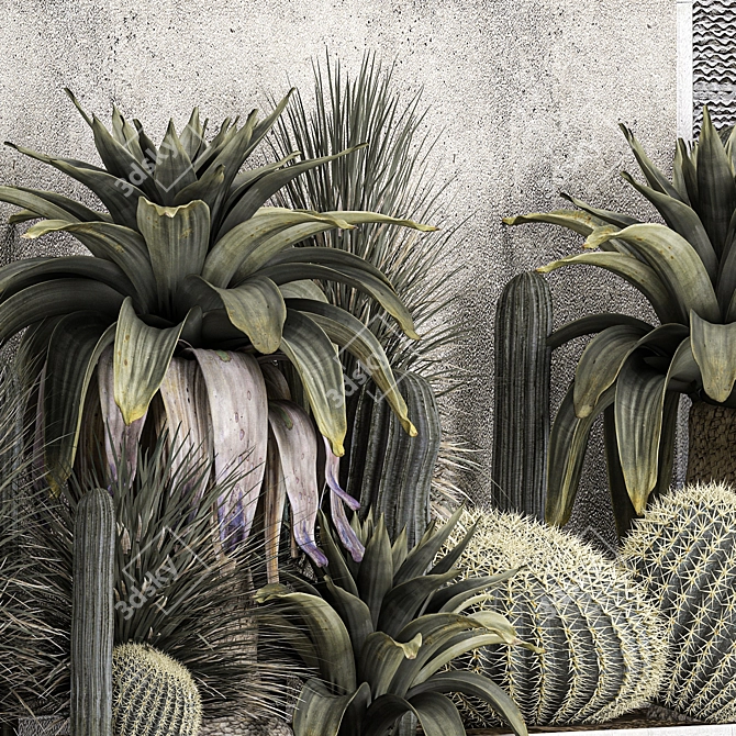 Exotic Desert Plant Collection 3D model image 5