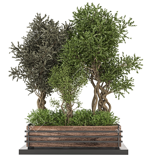  Exquisite Indoor Plants Collection 861 3D model image 2