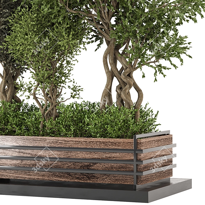  Exquisite Indoor Plants Collection 861 3D model image 3