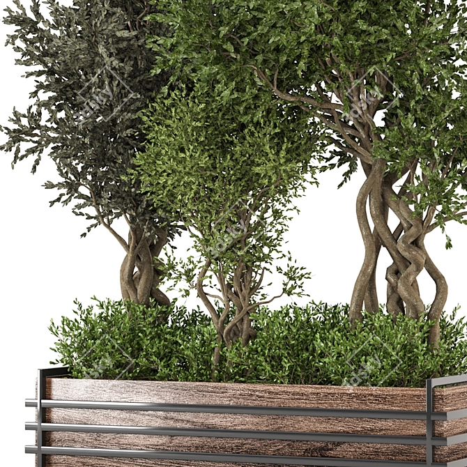  Exquisite Indoor Plants Collection 861 3D model image 4