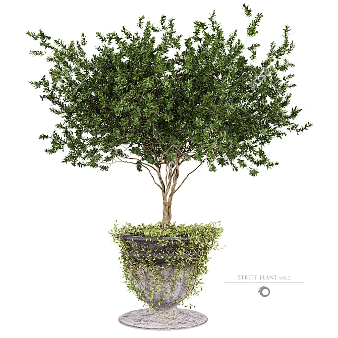 Concrete Pot Greenery Planter 3D model image 1