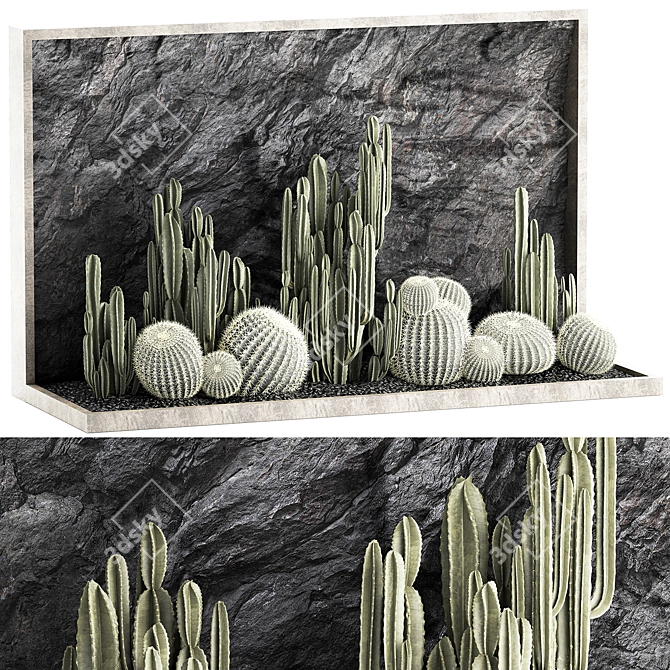 Desert Cacti Collection Set 3D model image 1