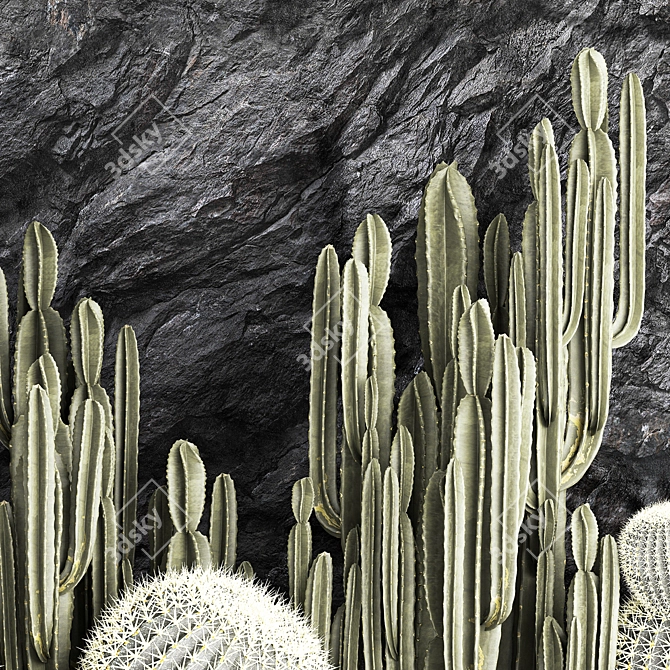 Desert Cacti Collection Set 3D model image 2