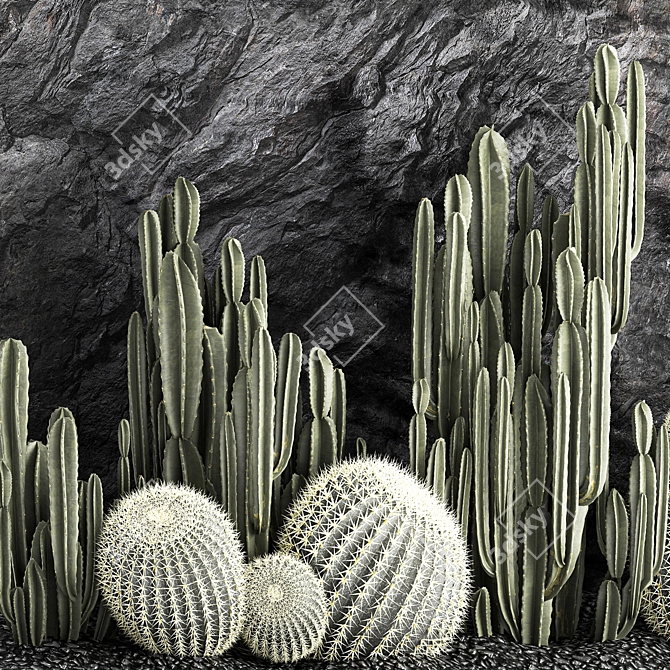 Desert Cacti Collection Set 3D model image 3