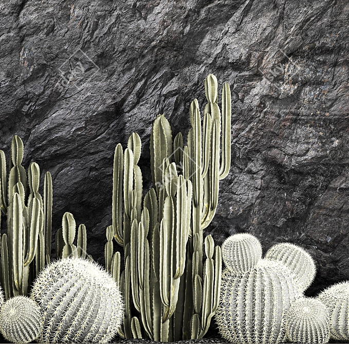 Desert Cacti Collection Set 3D model image 4