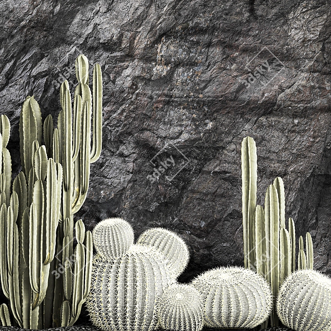 Desert Cacti Collection Set 3D model image 5