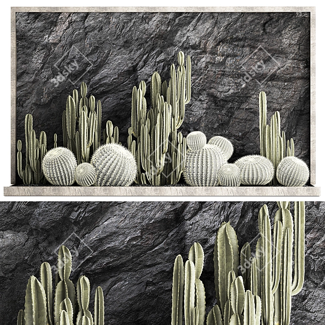 Desert Cacti Collection Set 3D model image 6