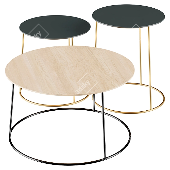 Gilded Heerenhuis Coffee Table 3D model image 1