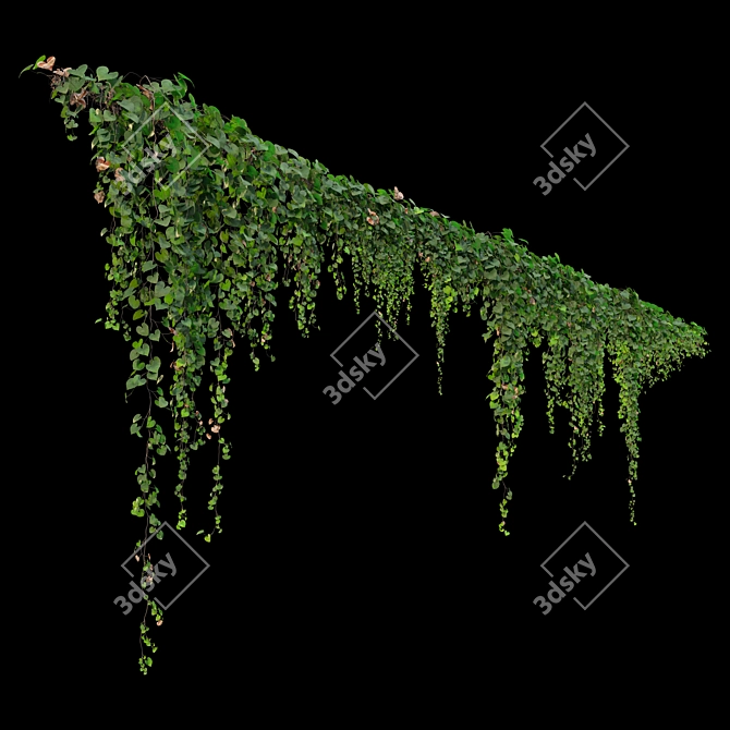 Triple Hanging Plant Collection 3D model image 5