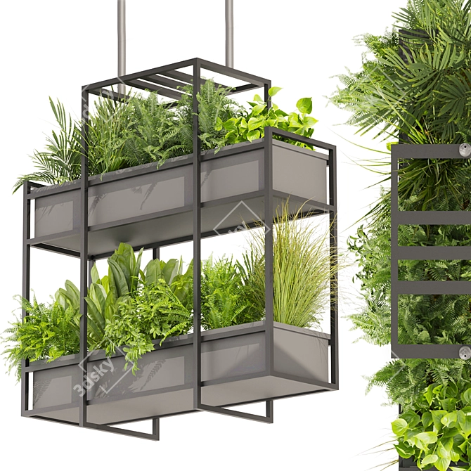 High-Quality Hanging Ampelous Plant 3D model image 1