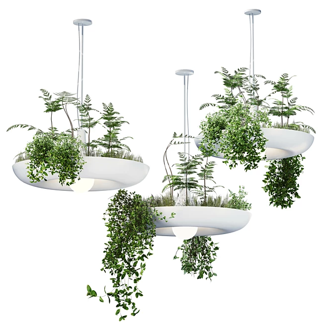 Modern Indoor Hanging Plant 3D model image 1