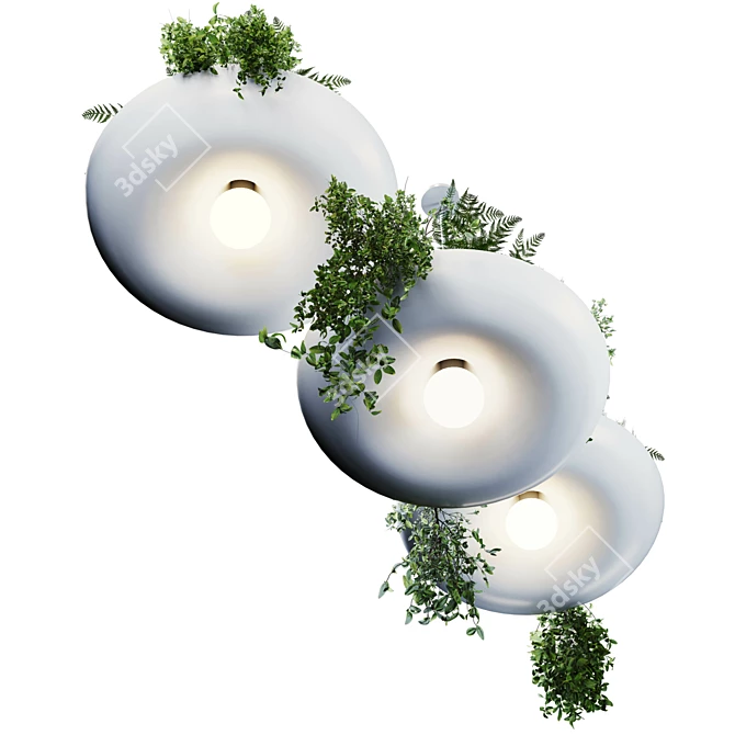 Modern Indoor Hanging Plant 3D model image 3