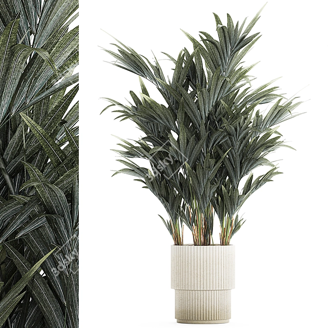 Exotic Tropical Palm Decor 3D model image 1