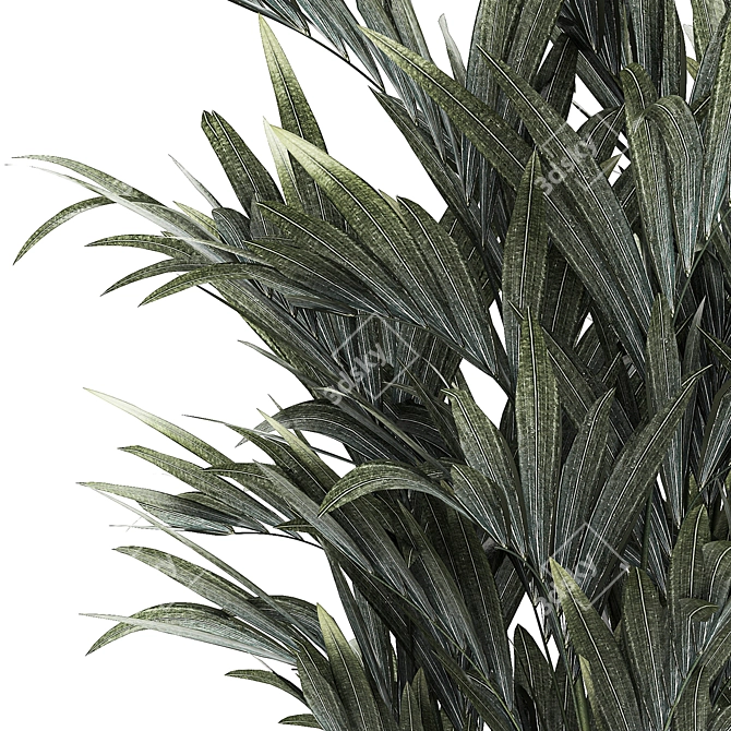 Exotic Tropical Palm Decor 3D model image 2