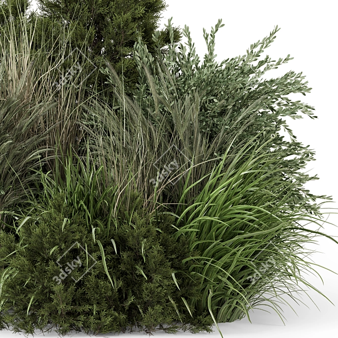 Outdoor Bush Set 1488 - 3D Model 3D model image 2