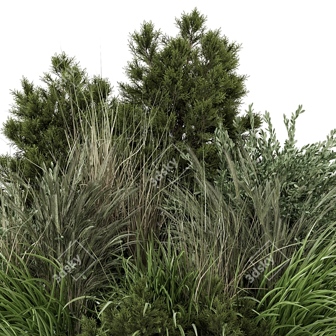 Outdoor Bush Set 1488 - 3D Model 3D model image 4