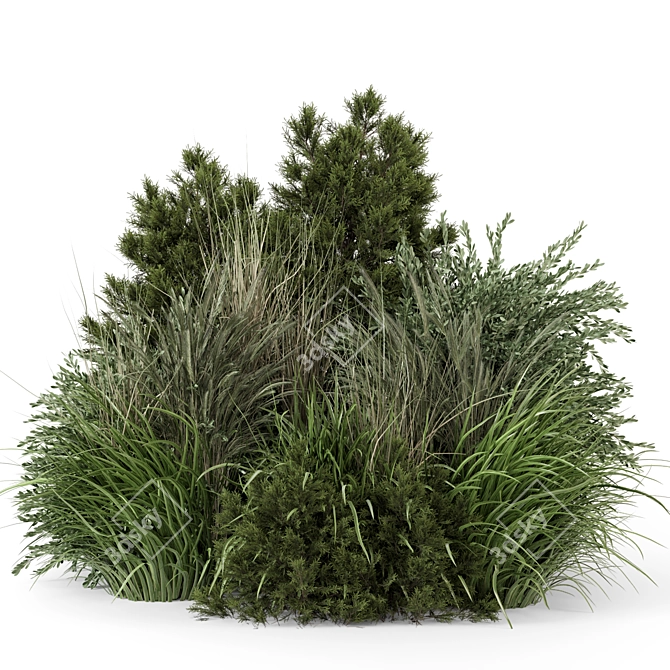 Outdoor Bush Set 1488 - 3D Model 3D model image 5