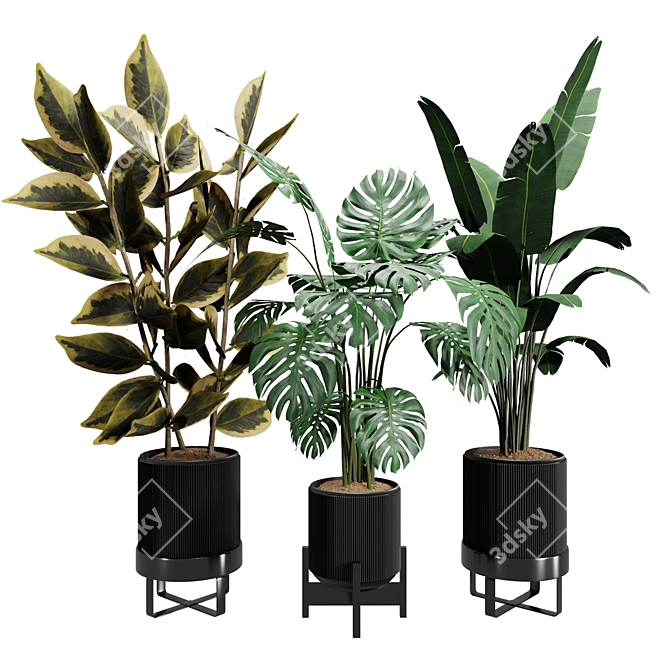 Botanical Beauty Collection: 2018 Version 3D model image 1