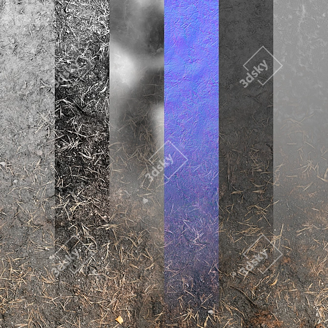 Seamless Texture Set with Maps 3D model image 3