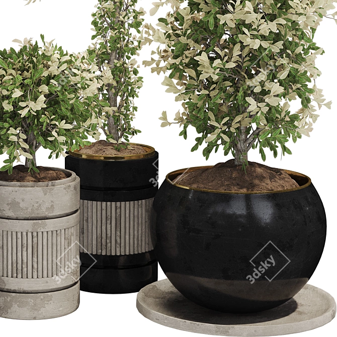 Exquisite Indoor Bonsai Collection 3D model image 4