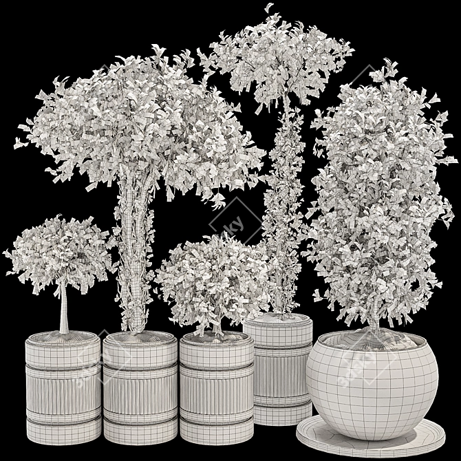 Exquisite Indoor Bonsai Collection 3D model image 7