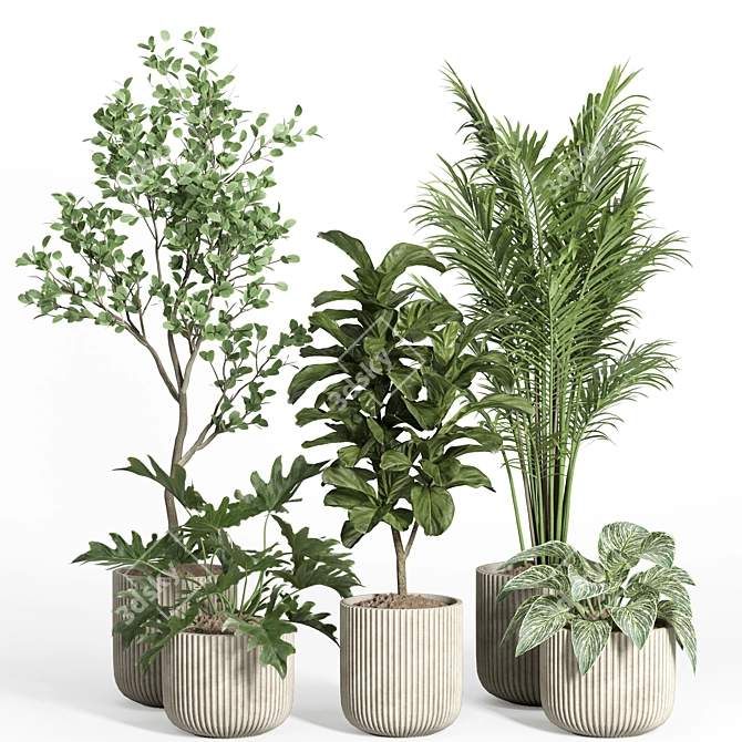 Modern Concrete Indoor Plant Set 3D model image 1