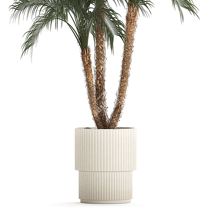 Exotic Phoenix Robelena Palm in White Flower Pot 3D model image 3