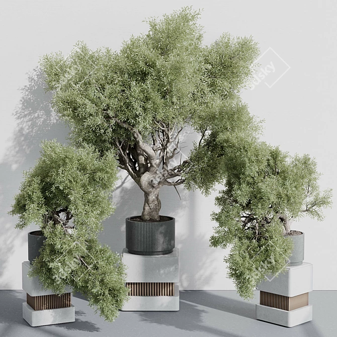 Modern Indoor Plant Set 389 3D model image 1