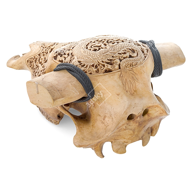 Cow Skull with Dragon Carving 3D model image 2