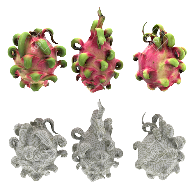 Dragon Fruit 3D Model Kit 3D model image 3