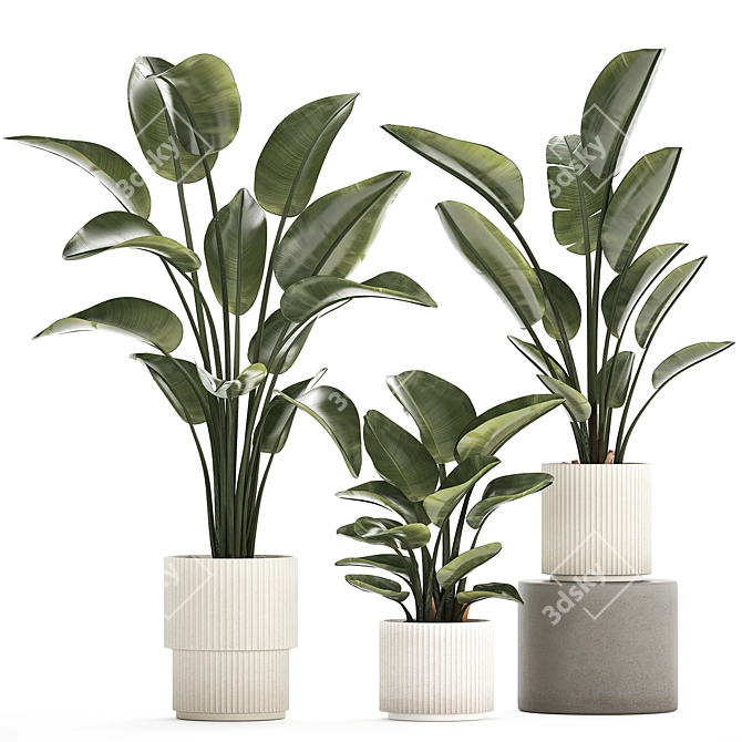 Exotic Plant Collection Concrete Decor 3D model image 1