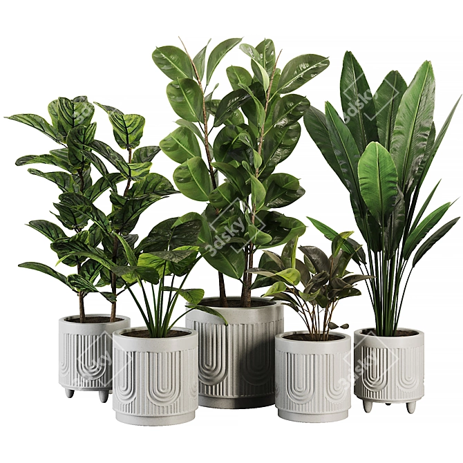 Modern Ficus Banana Plant Set 3D model image 1