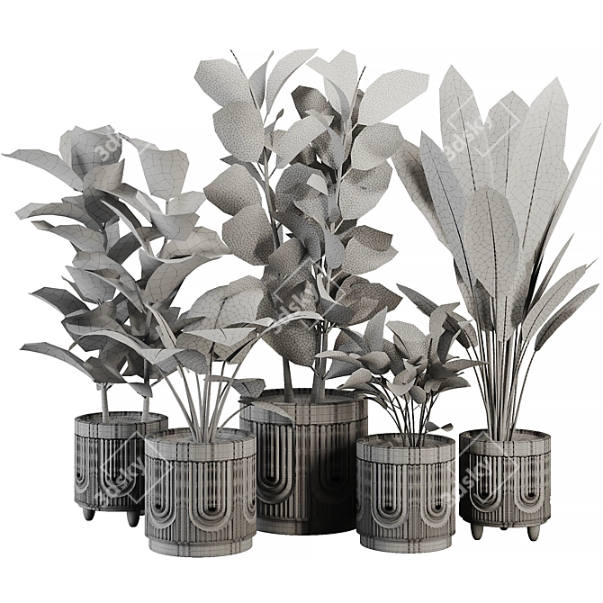 Modern Ficus Banana Plant Set 3D model image 6