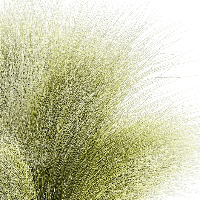 White Floral Grass Bush in Decorative Planter 3D model image 2