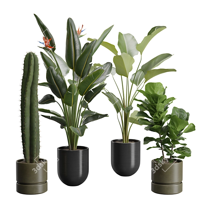 Exotic Indoor Plants Pack 47 3D model image 1