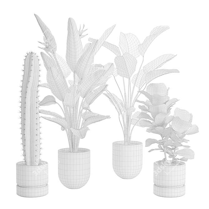 Exotic Indoor Plants Pack 47 3D model image 3