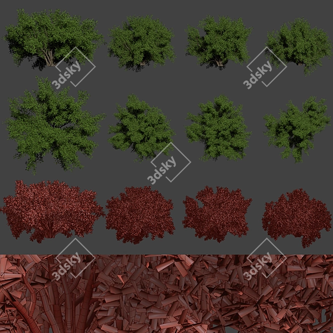  Garden Bushes 3D Model Collection 3D model image 7