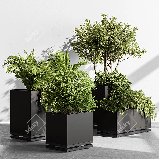 535 Indoor Plant Box 3D model image 2