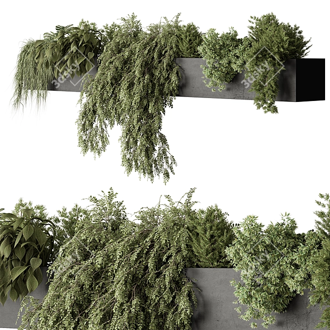 Lush Hanging Outdoor Plant Succulent 3D model image 1