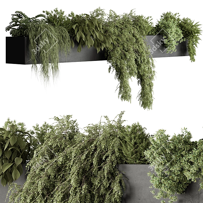 Lush Hanging Outdoor Plant Succulent 3D model image 2