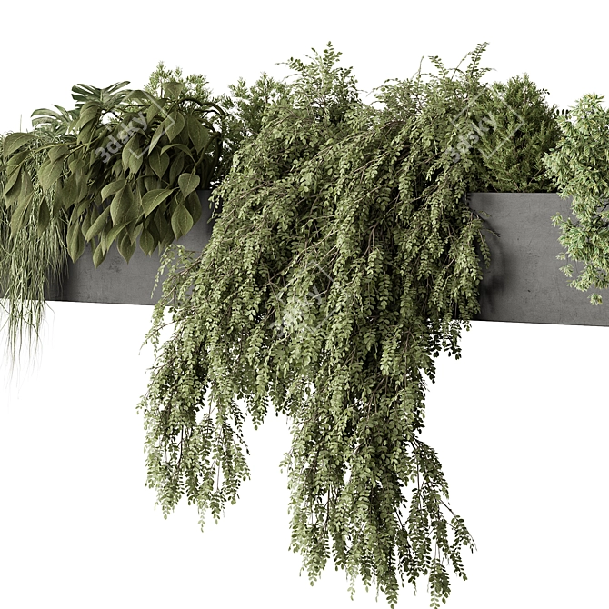 Lush Hanging Outdoor Plant Succulent 3D model image 4