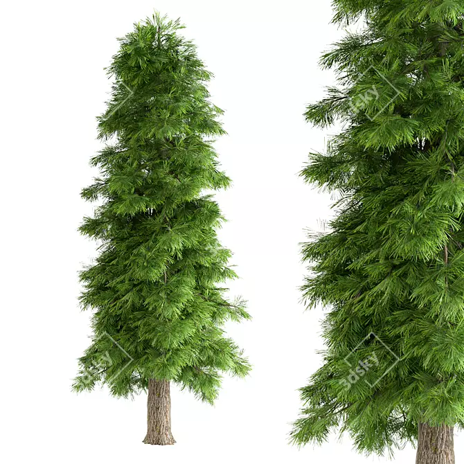 Woodland Pine Tree Figurine 196cm 3D model image 1