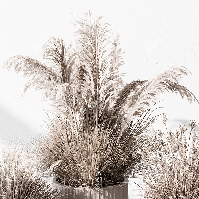 Serene Green Dried Indoor Plant 3D model image 4