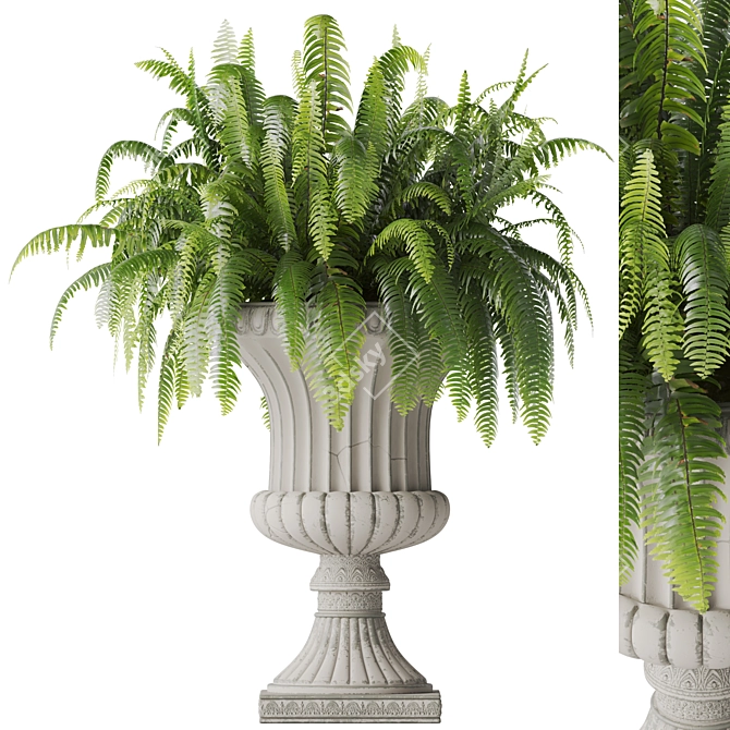 Boston Fern Vase Decoration Model 3D model image 1