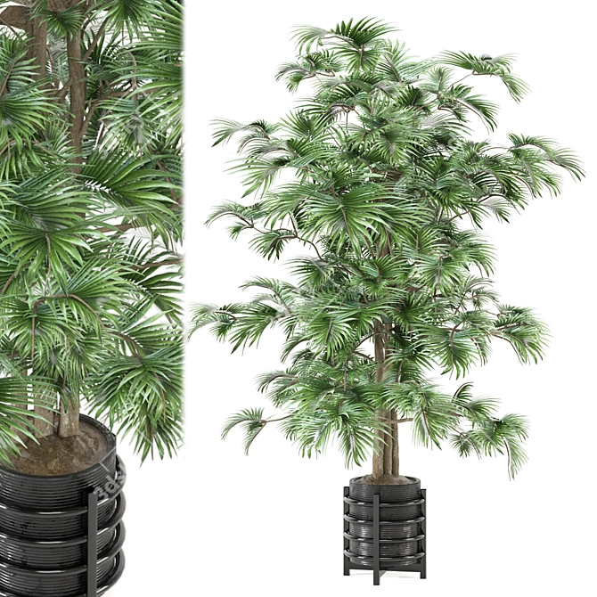 Modern Indoor Plants Set 879 3D model image 1